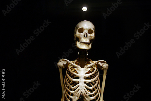Photo: Human Anatomy real skeleton on a black background Human Anatomy real skeleton on a black background