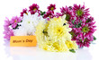 Bouquet of beautiful chrysanthemums isolated on white