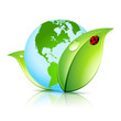Green Earth Icon
