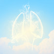Schematic illustration of human lungs