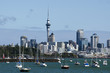 Auckland Skyline