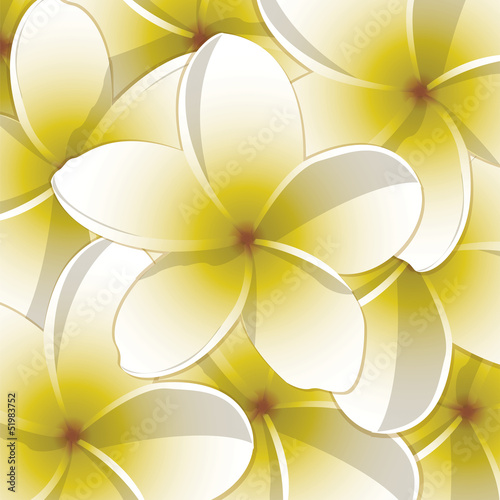 Vector: All occasion frangipani card in vector format. All occasion frangipani card in vector format.