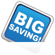 Vector: BIG SAVING! ICON BIG SAVING! ICON