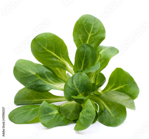 Photo: Feldsalat Feldsalat