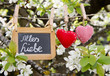 Frühlingsmotiv "Alles Liebe"
