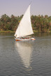 Felucca people transportation