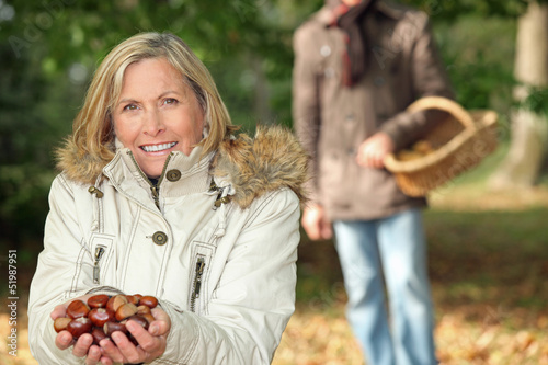 Photo: Gathering chestnuts Gathering chestnuts