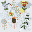 vector nature illustration