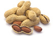 peanuts