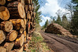 Stock de grumes