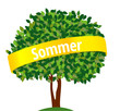 Sommer