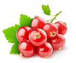 Photo: Red currants isolated on white Red currants isolated on white