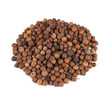 Allspice