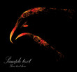 Vector: Vector image of eagle head on black background Vector image of eagle head on black background