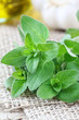 Bundle of fresh marjoram