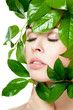 beautiful woman's face, surrounded by green leaves