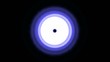 Hypnotic Circles Animation