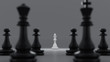 black and white Chess