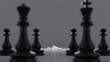 black and white Chess