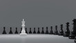 black and white Chess