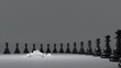 black and white Chess