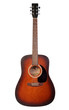 acoustic guitar
