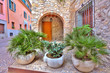 Photo: Plants in front of residential house in Sirmione. Plants in front of residential house in Sirmione.