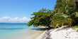 Foto: Panorama on a beach with beautiful vegetation Panorama on a beach with beautiful vegetation