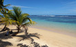 Tropical beach a piece of paradise