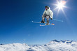 skier