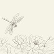 Lotus flower and dragonfly