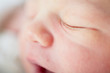 Newborn