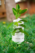 Environmental Conservation