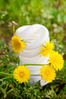 Environmental Conservation