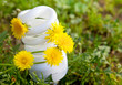 Environmental Conservation