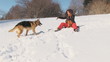 Beauty woman with dog