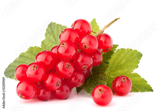Photo: Red currants and green leaves still life Red currants and green leaves still life