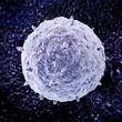 Illustration: Virus, medicina, influenza, cura Virus, medicina, influenza, cura