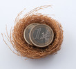 Euro coins in nest