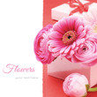 Photo: Pink peonies and gerber flower Pink peonies and gerber flower