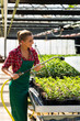 Photo: Female commercial gardener watering plants Female commercial gardener watering plants