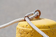 Photo: knot on cement knot on cement
