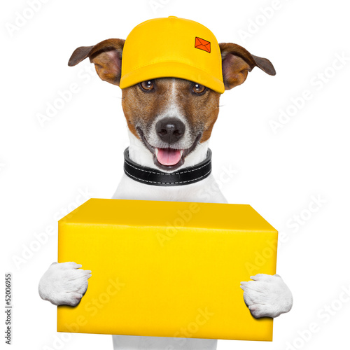 Photo: dog delivery post dog delivery post