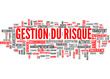 gestion du risque (tag cloud)