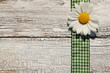 Blüte auf grünem Band