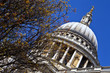 St. Paul's Cathedral in London