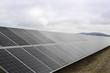 solar panels