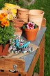 Pflanztisch mit Gartenschere und Handschuhen