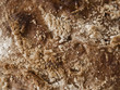 Photo: brown bread crust brown bread crust