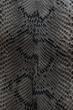Snake skin
